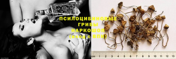 первитин Алексин