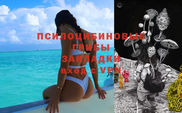 a pvp Алзамай