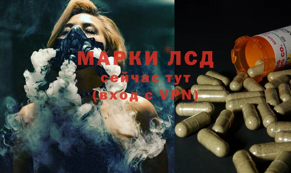 a pvp Алзамай