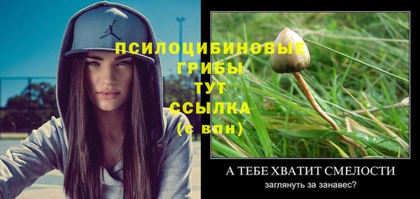 a pvp Алзамай