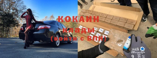 a pvp Алзамай