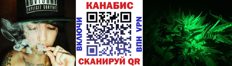Бошки марихуана сатива  купить закладку  Новочеркасск 